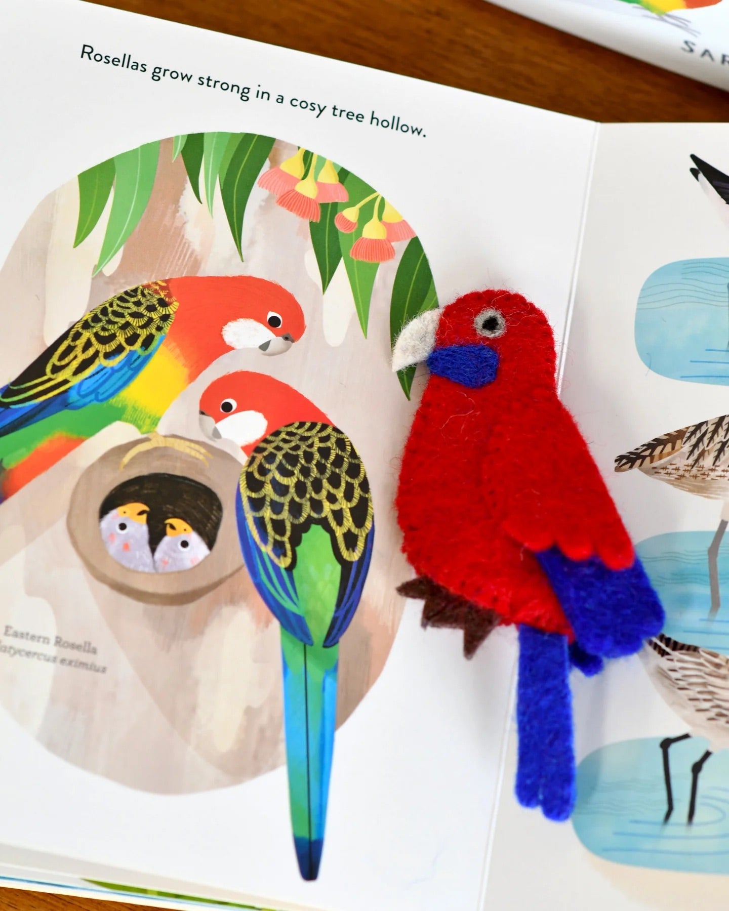Busy Beaks Finger Puppets and Book Set