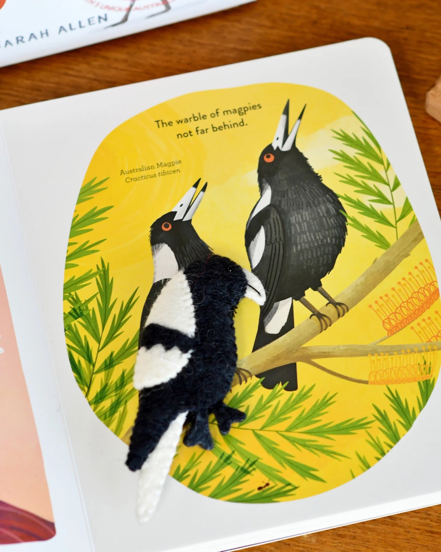 Busy Beaks Finger Puppets and Book Set