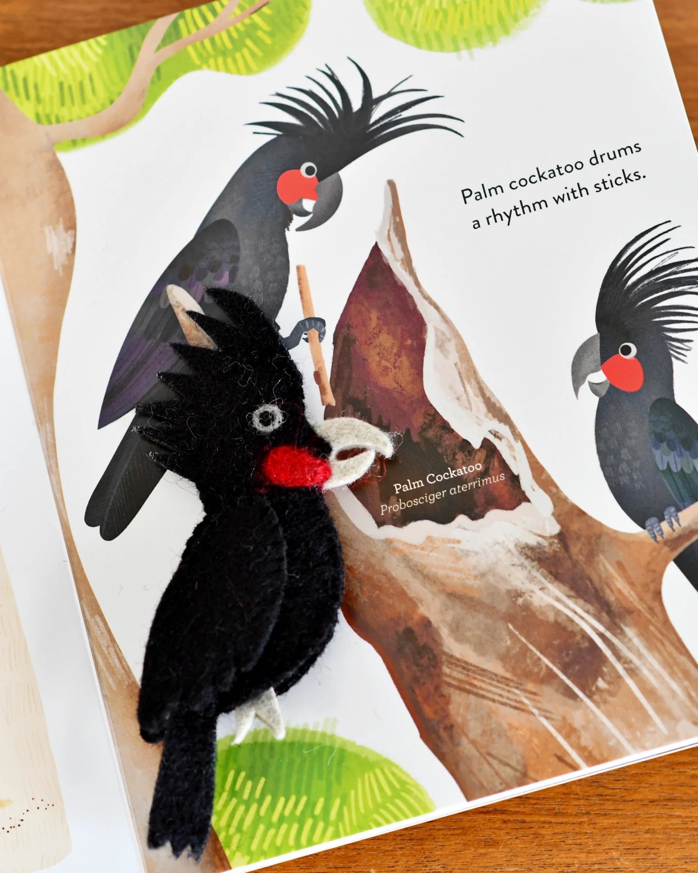 Busy Beaks Finger Puppets and Book Set