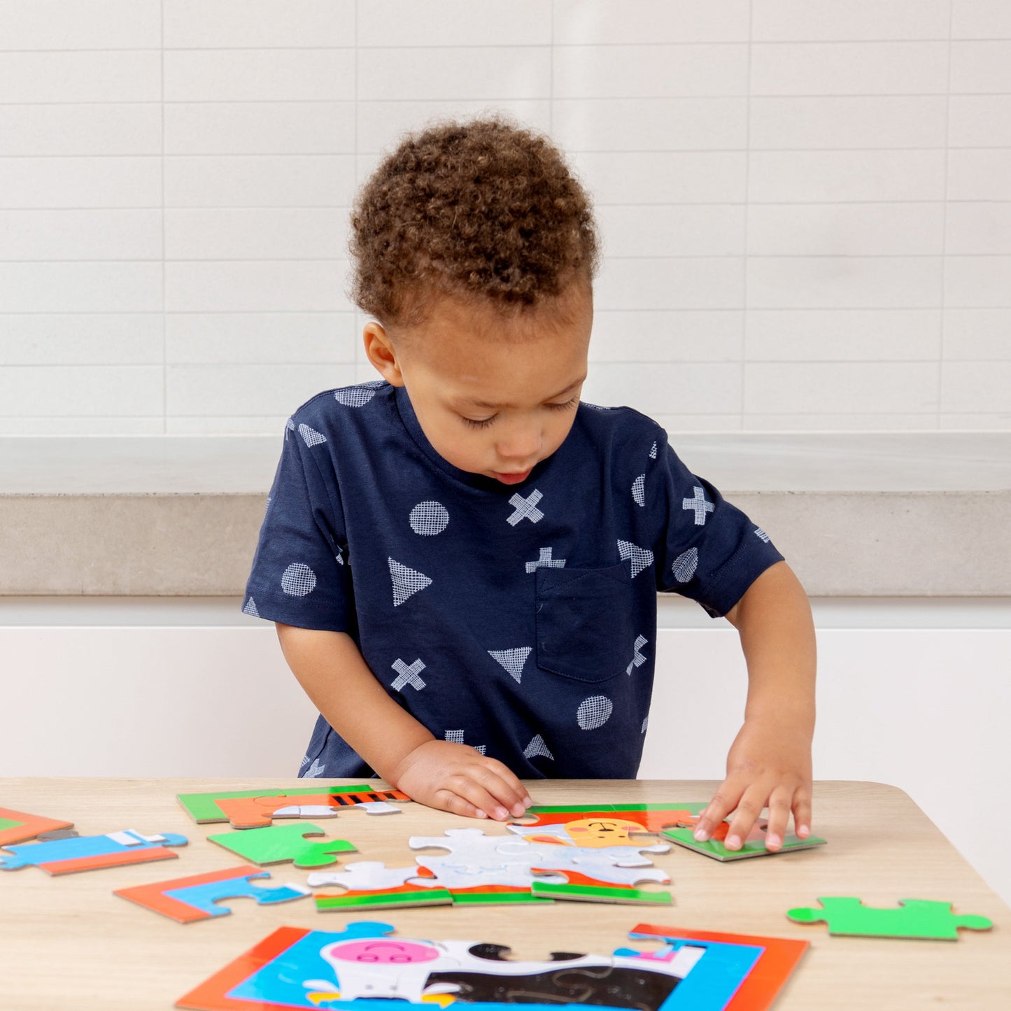 My first puzzle case - Barnyard