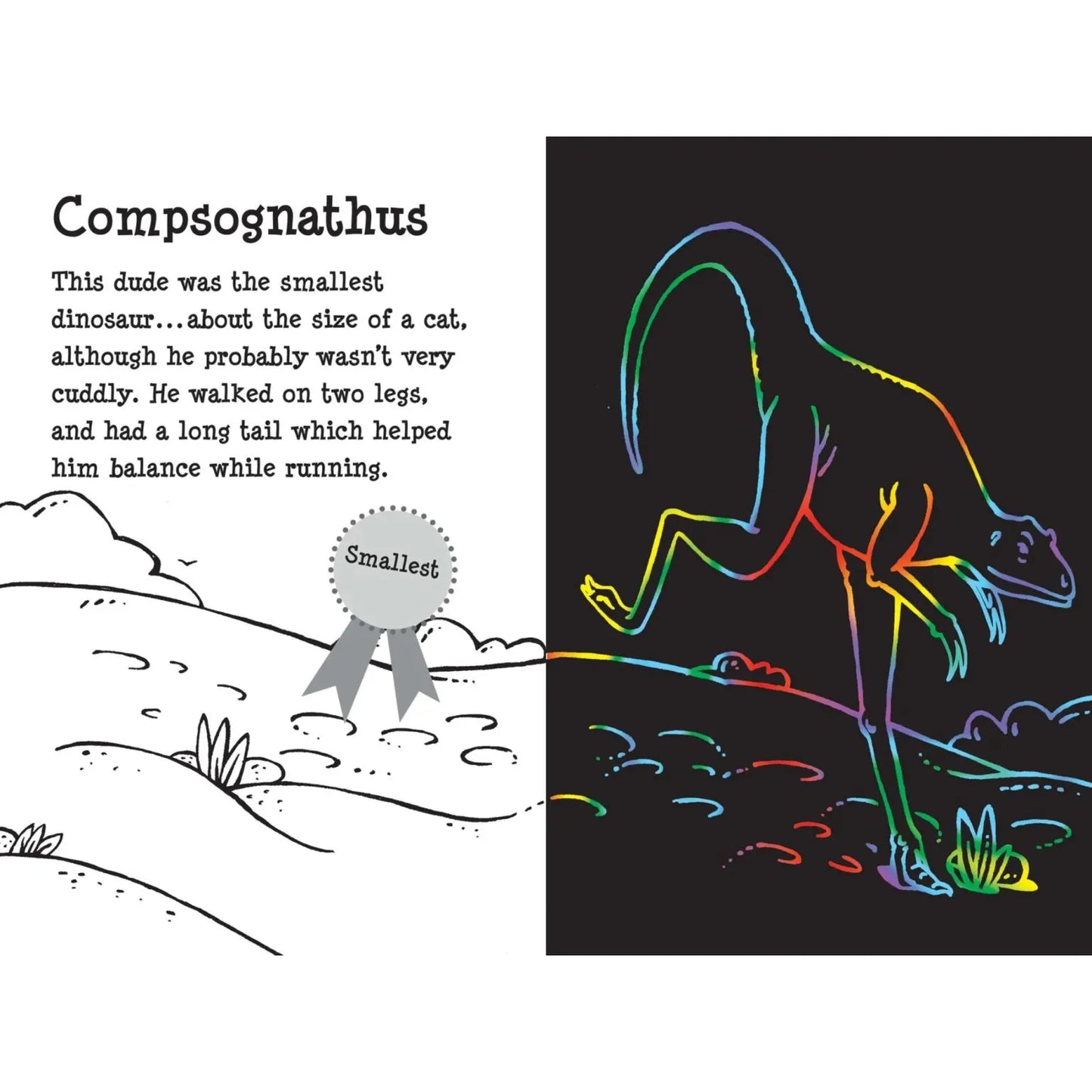 Scratch and Sketch Dino Dudes - Art Activity Book