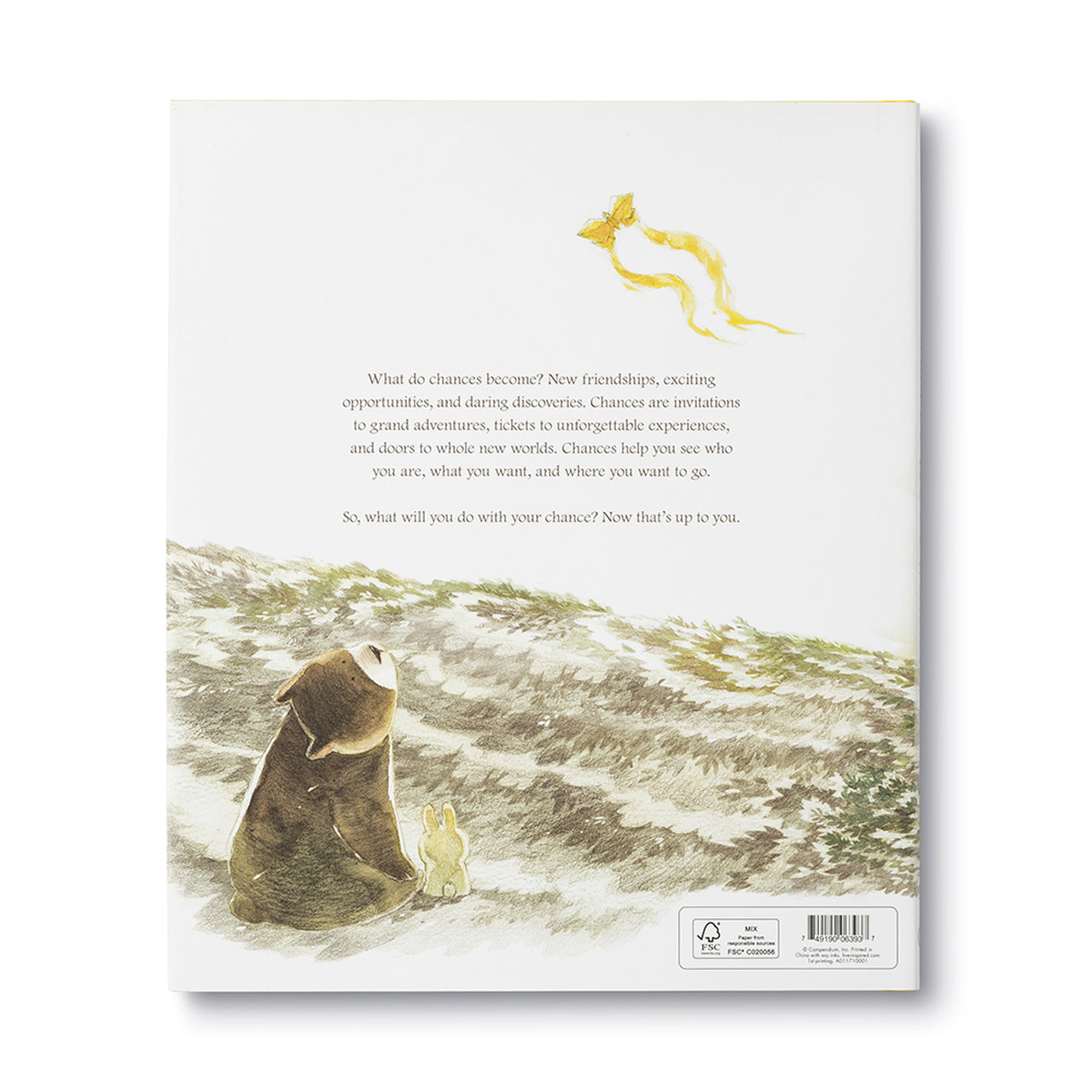 What Do You Do With a Chance?