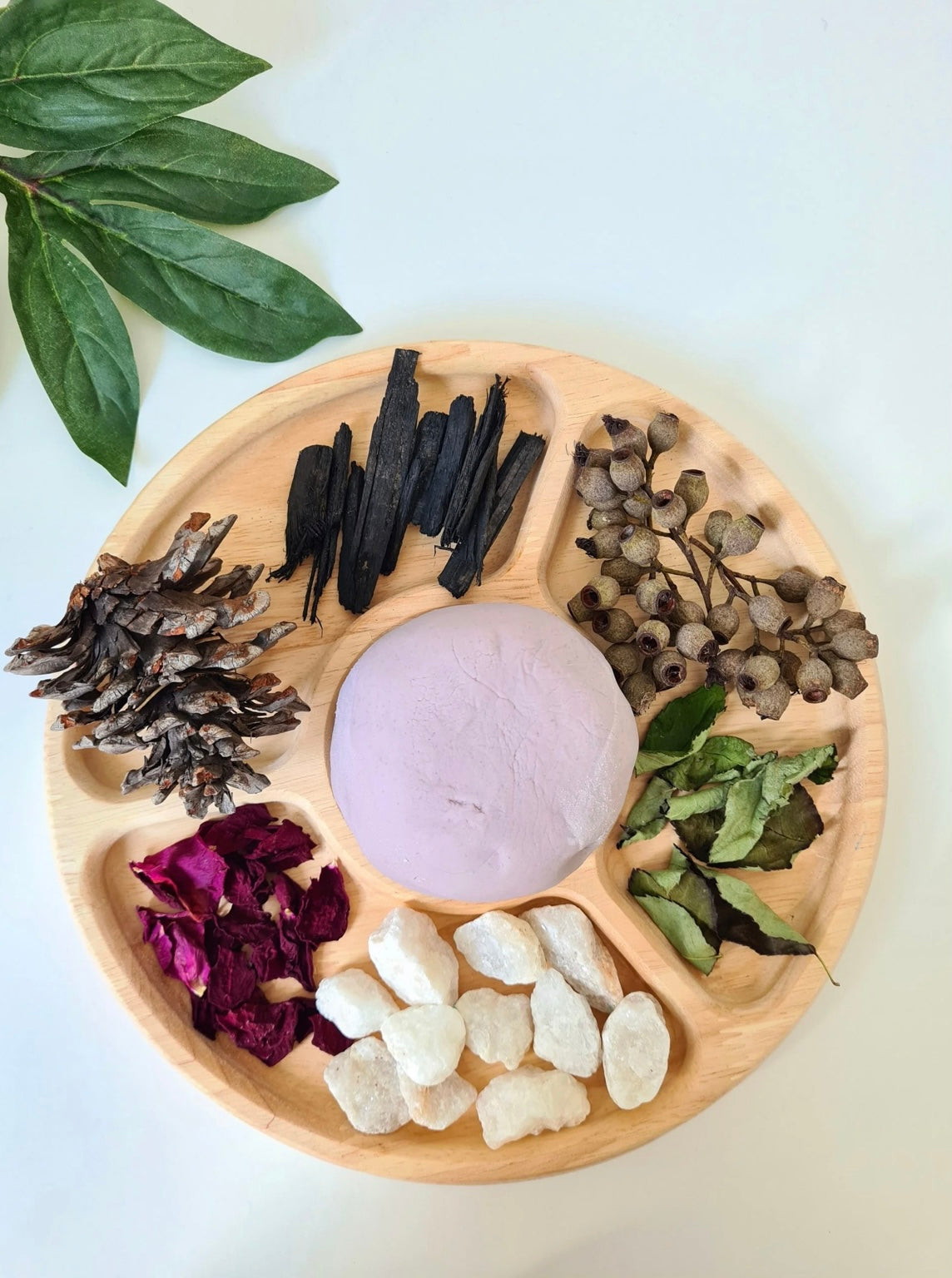 Round Divided Feeding Tray