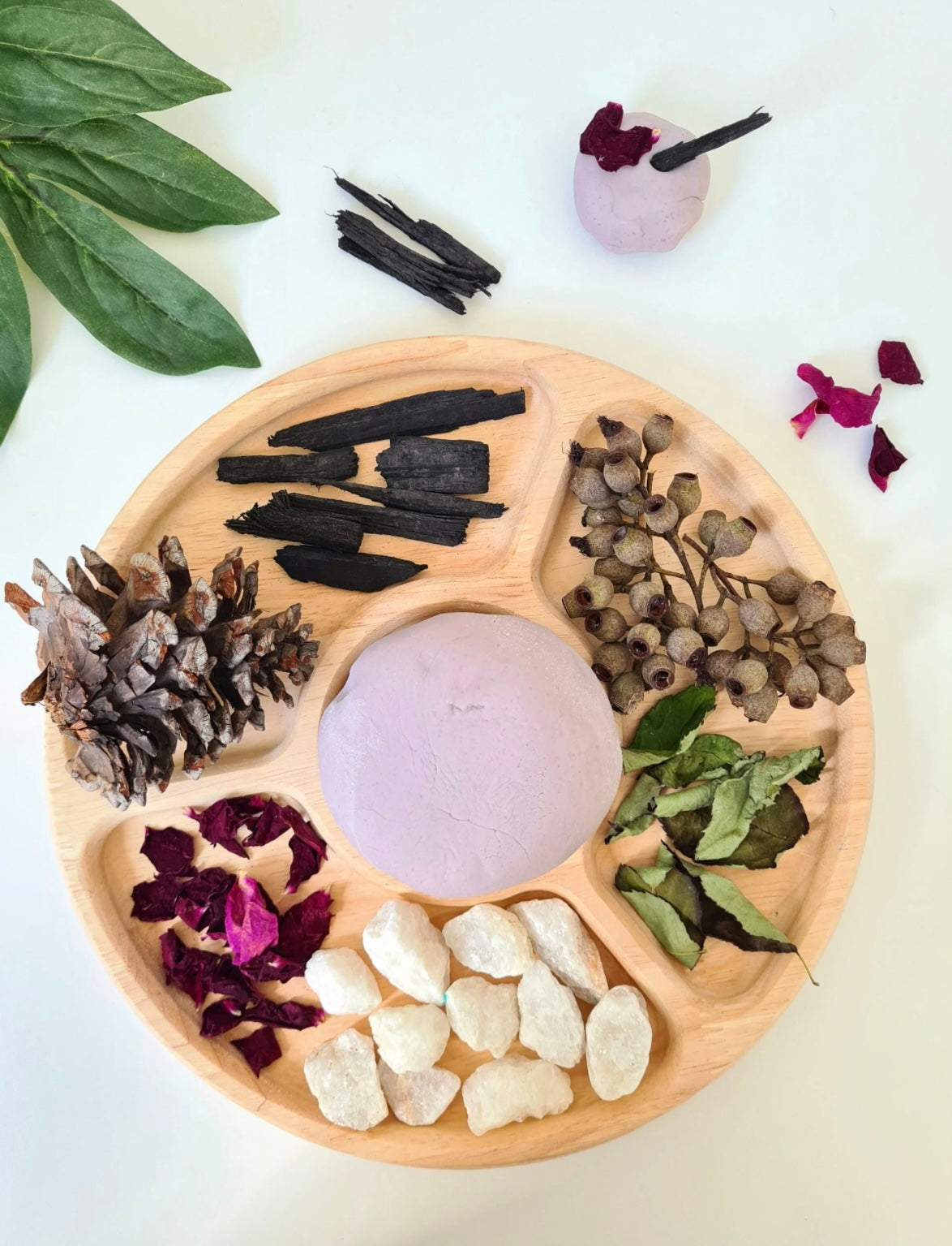 Round Divided Feeding Tray