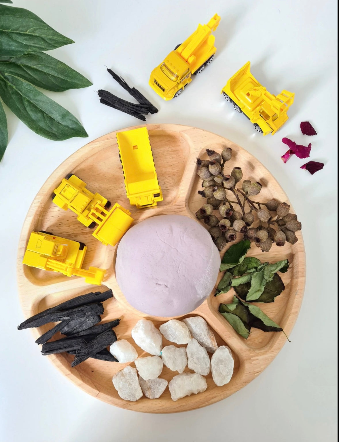 Round Divided Feeding Tray