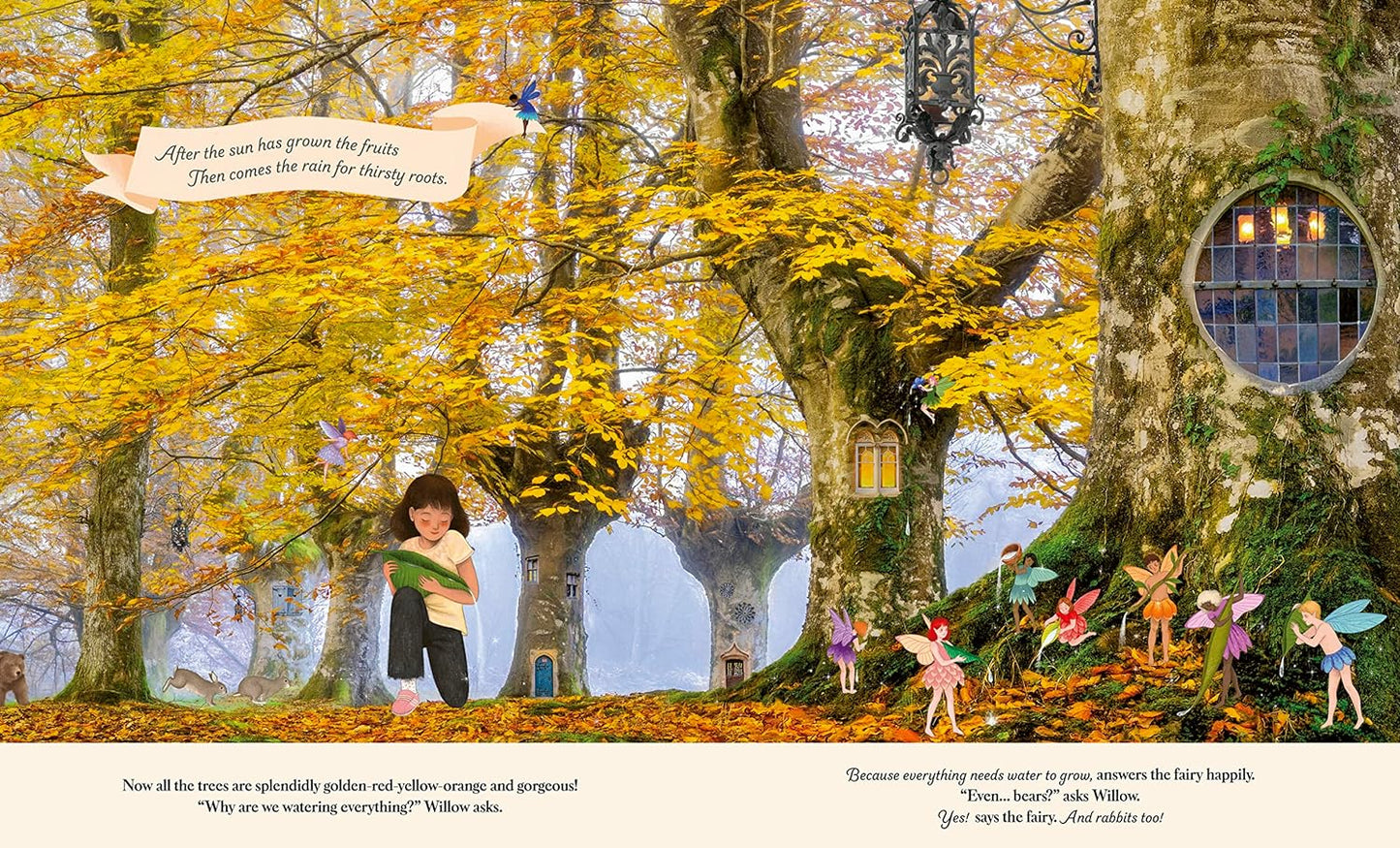 Through the Fairy Door - Book