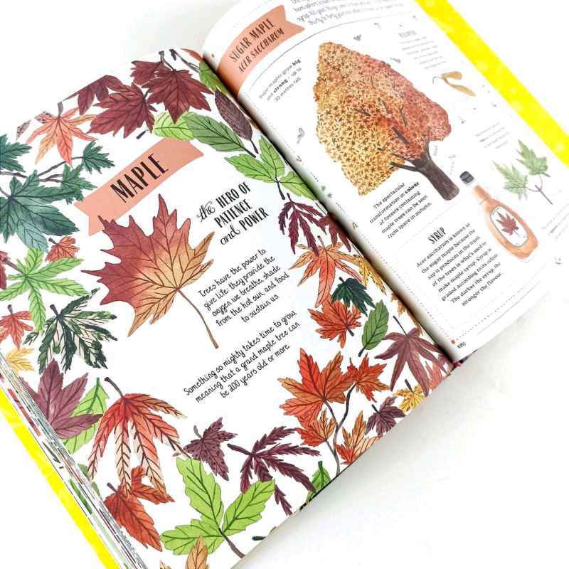 Grow - A Children’s Guide to Plants and How to Grow Them