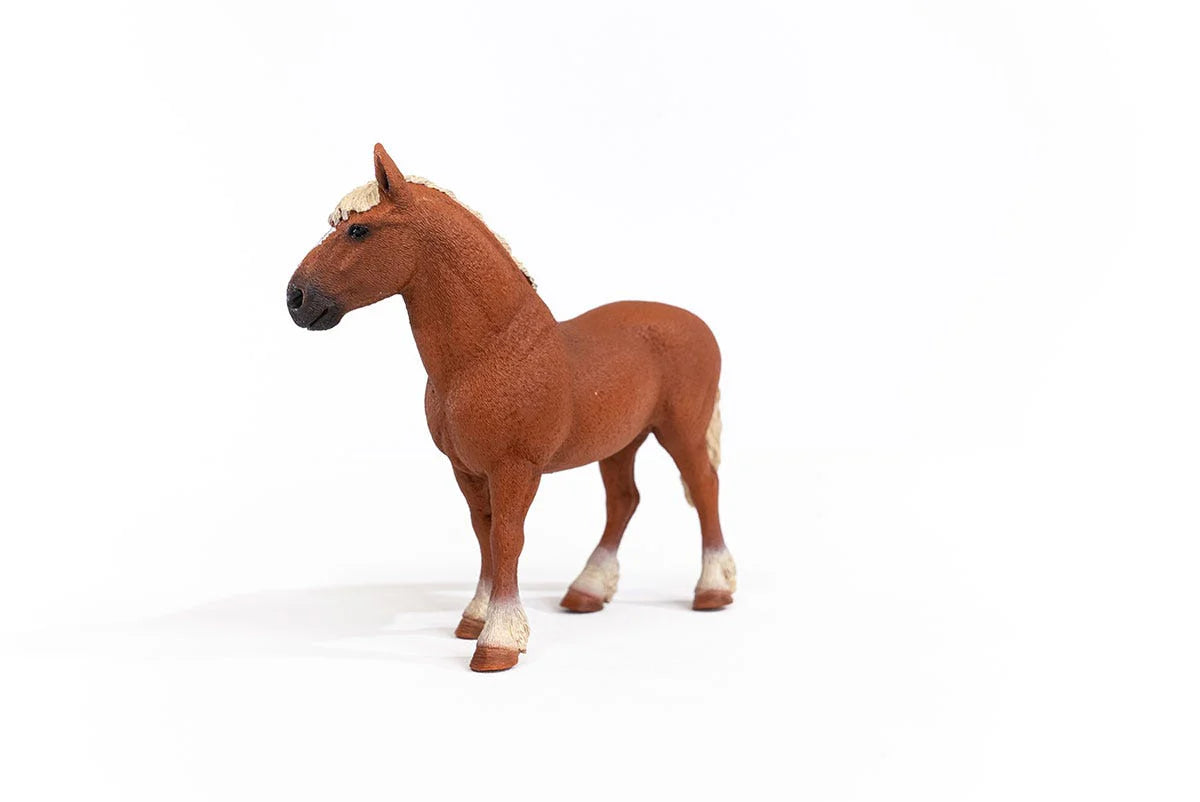 Schleich - Belgian Draft Horse