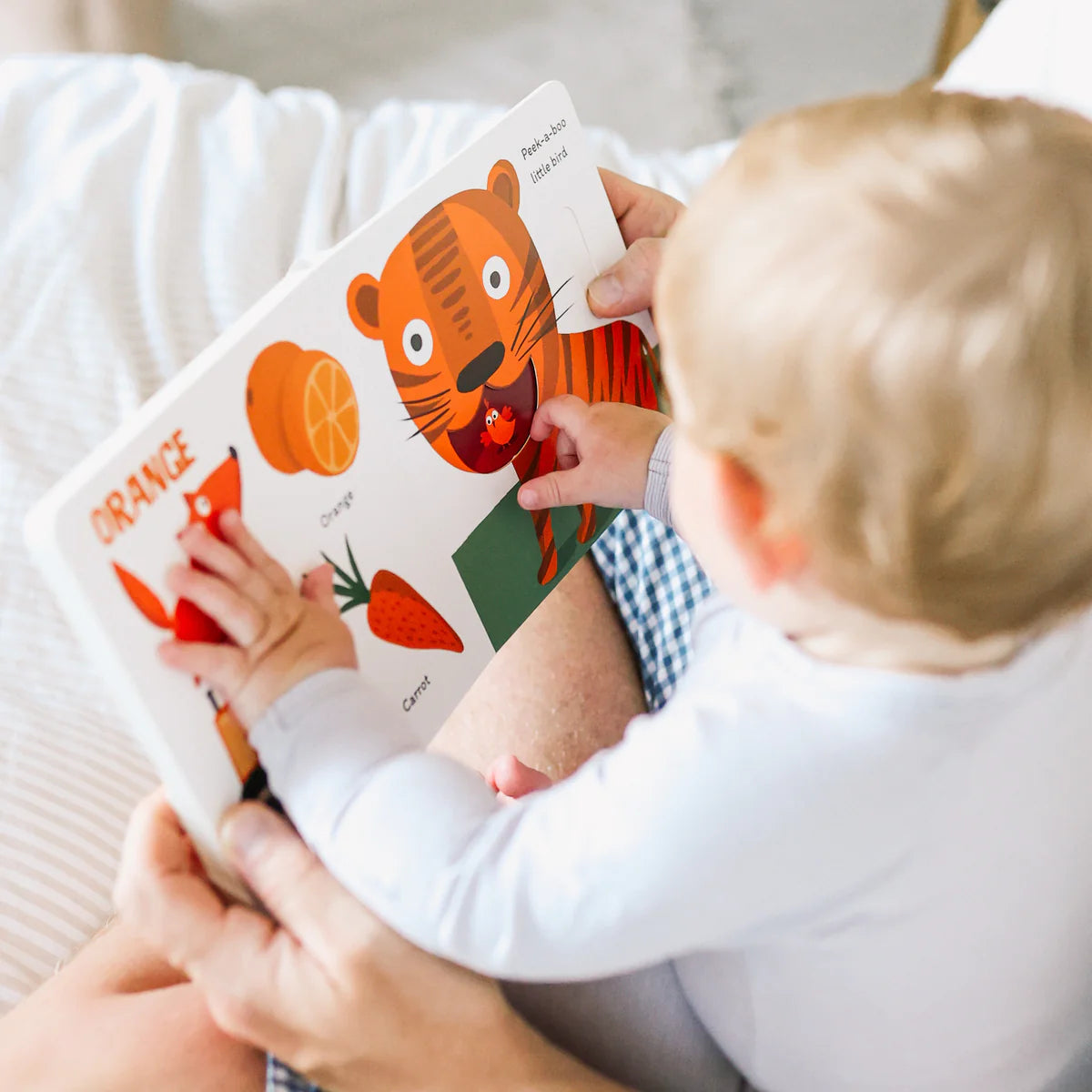 The Colours Board Book - LilBigWorld