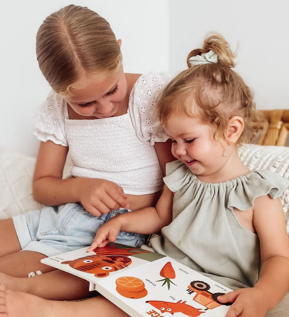 The Colours Board Book - LilBigWorld