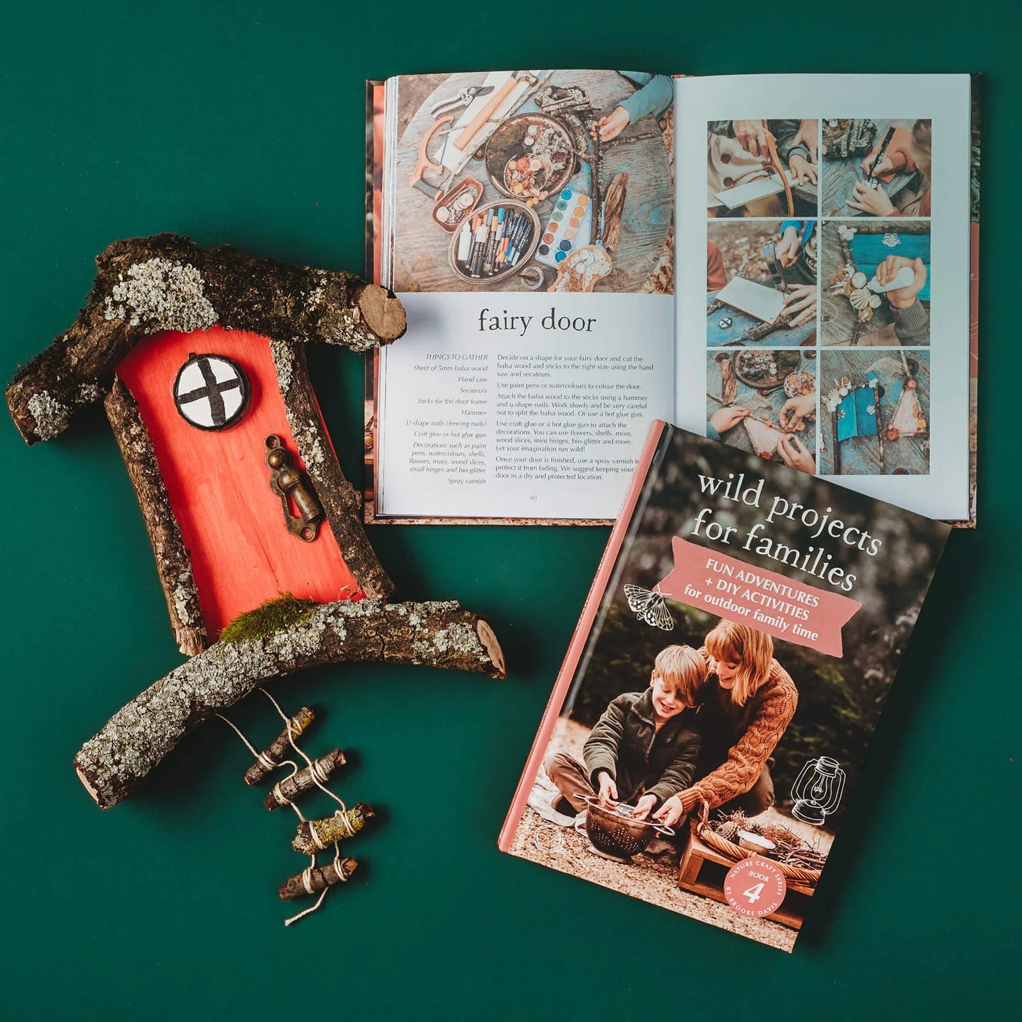 Your Wild, Wild Projects for Families Book