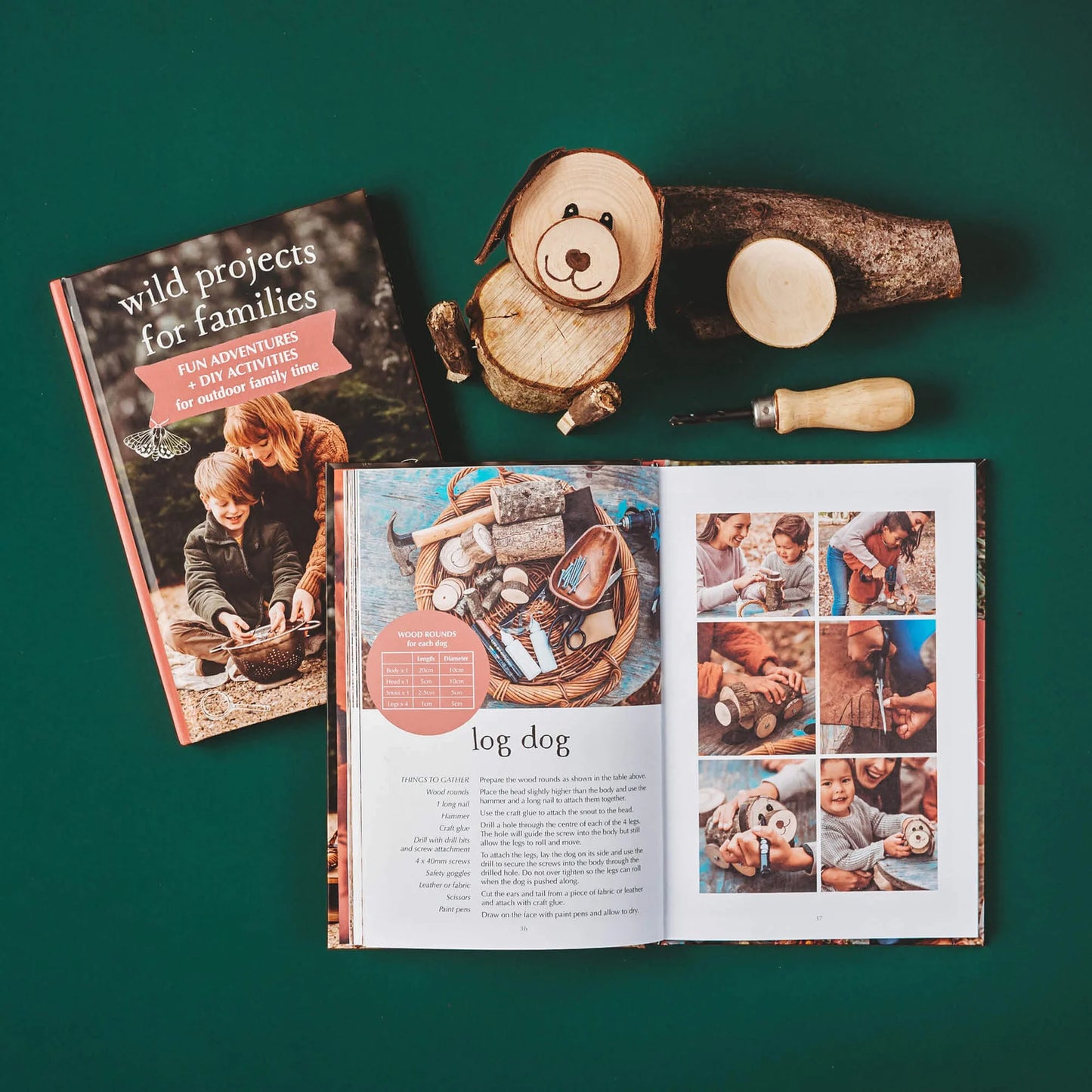 Your Wild, Wild Projects for Families Book