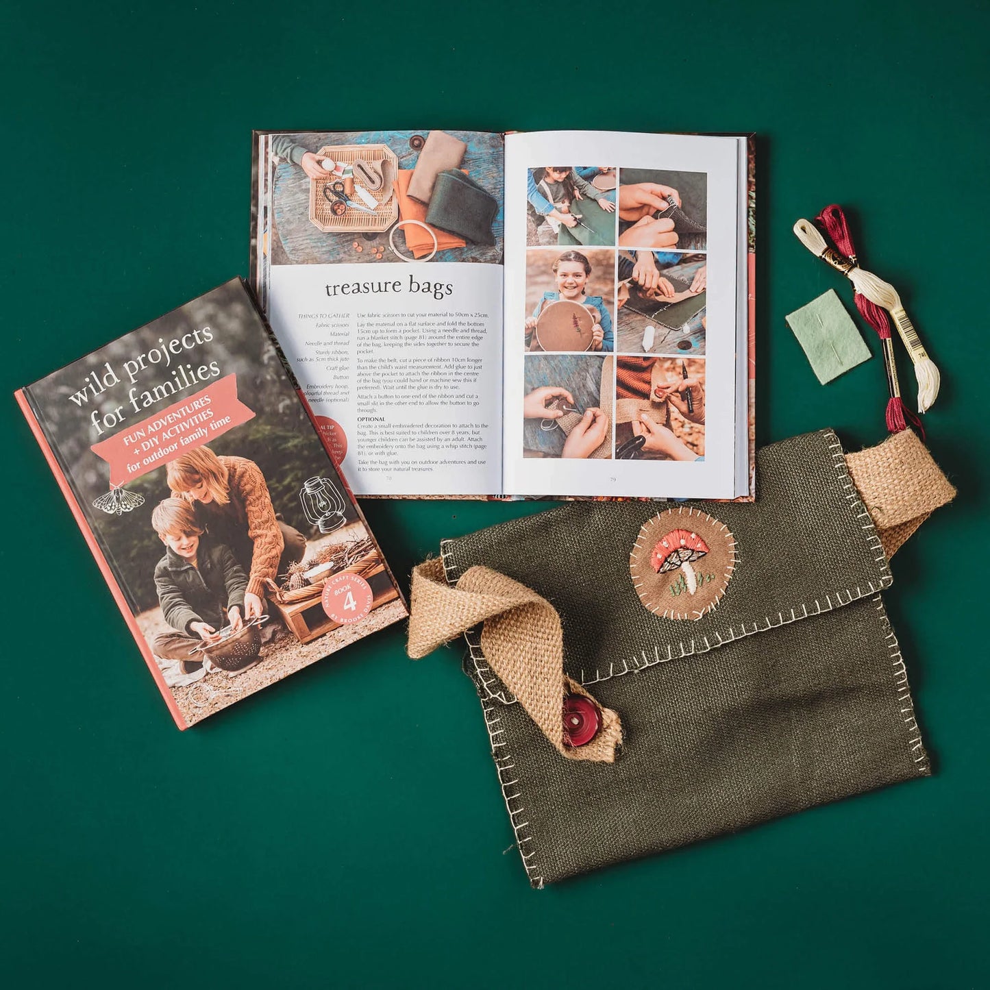 Your Wild, Wild Projects for Families Book