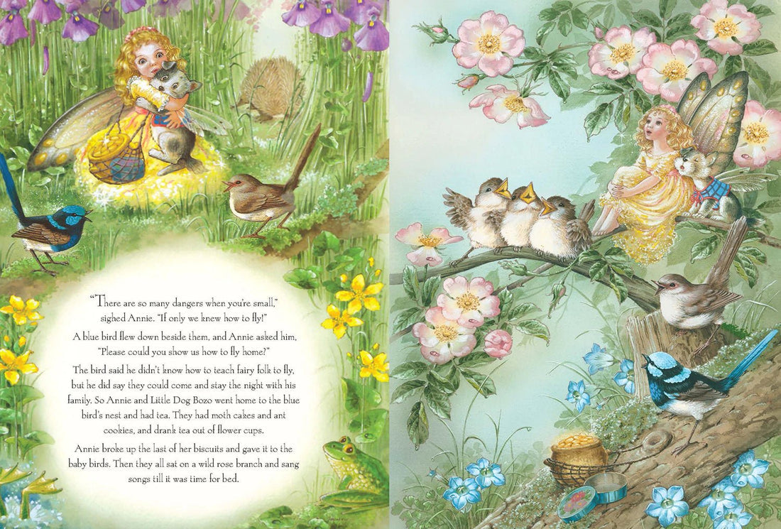 Shirley Barber - Rainbow Magic (Hardcover)