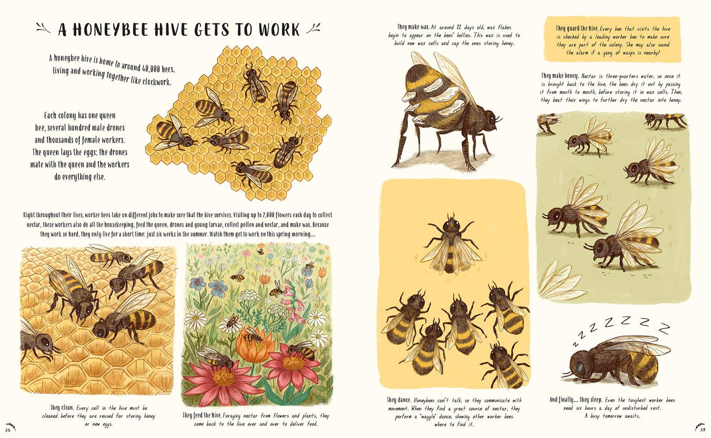 Slow Down … Bring Calm to a Busy World with 50 Nature Stories