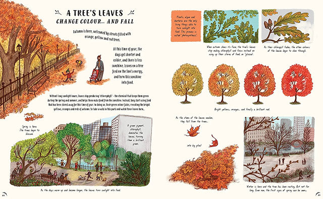 Slow Down … Bring Calm to a Busy World with 50 Nature Stories