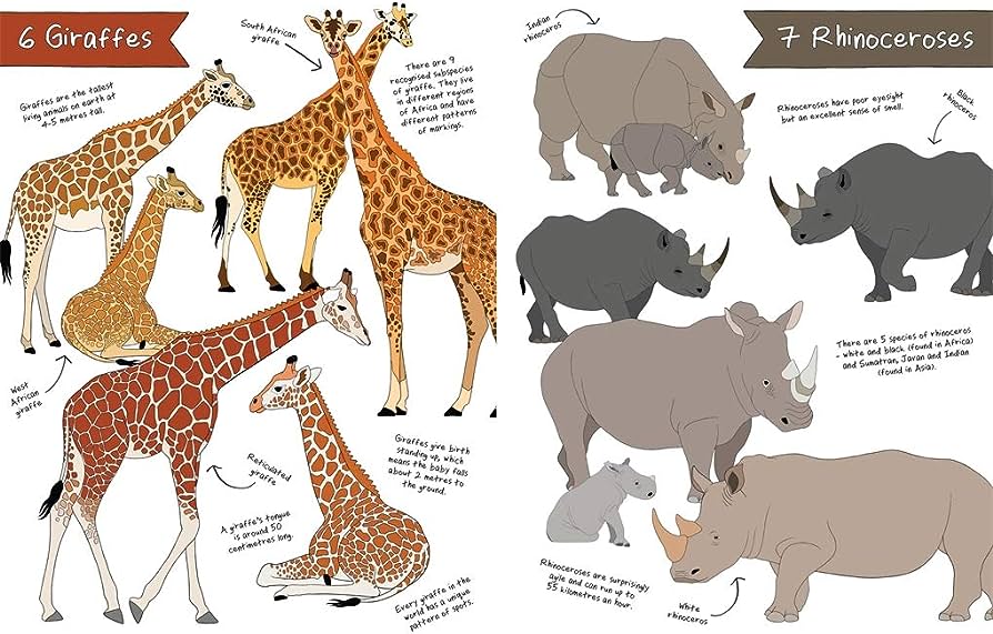 Ultimate Animal Counting Book