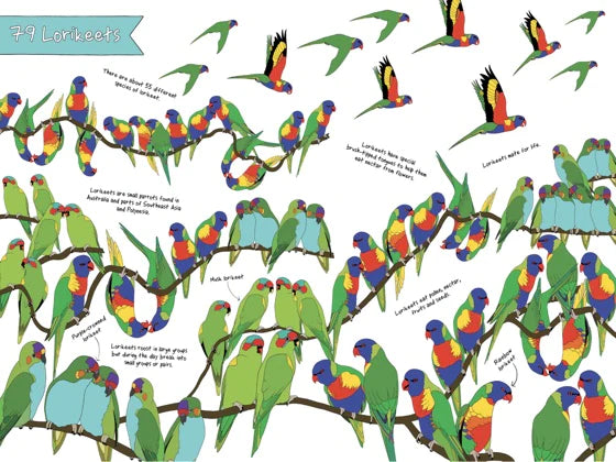 Ultimate Animal Counting Book