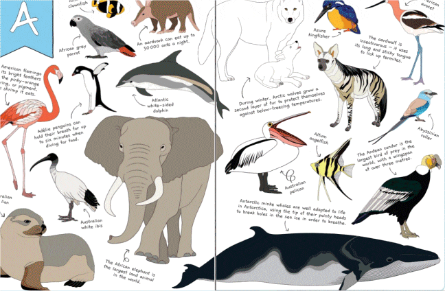 Ultimate Animal Counting Book
