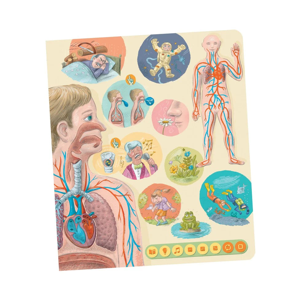 Tolki Book Human Body