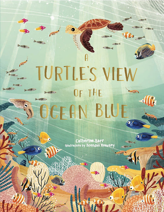 A Turtle’s View of the Ocean Blue - Hardcover Book