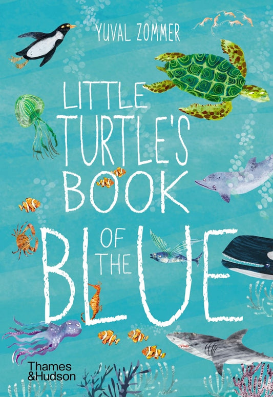 Little Turtle’s Book Of The Blue - Board Book