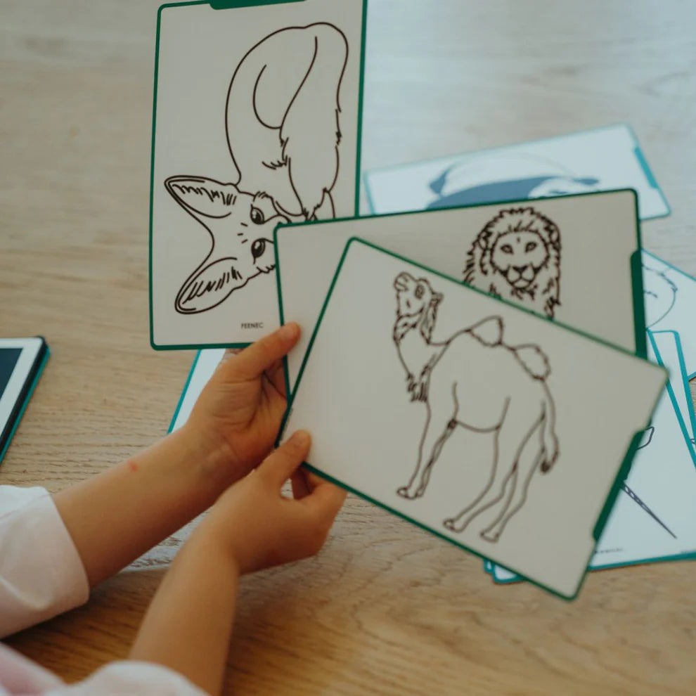Kidydraw Mini