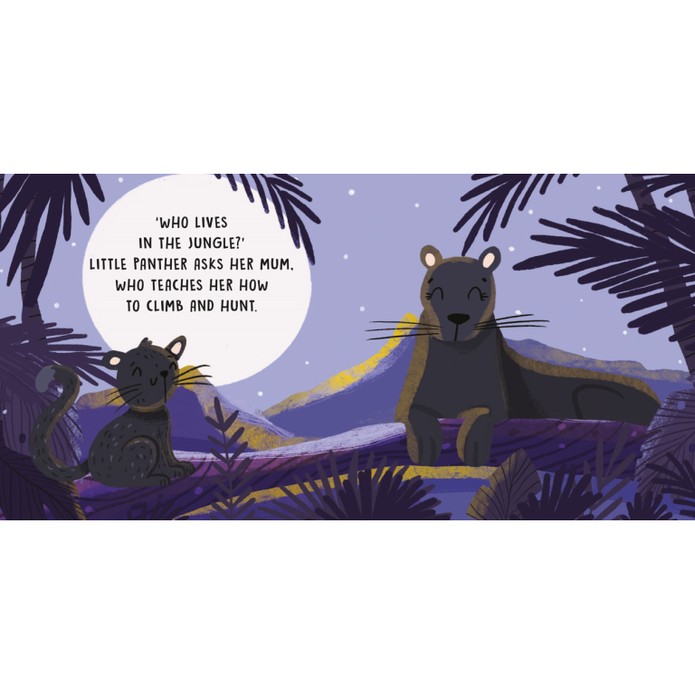 Sweet Sounds Stories - The Jungle - Board Book