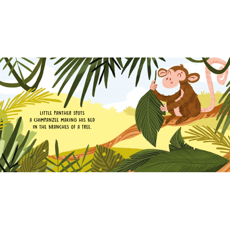 Sweet Sounds Stories - The Jungle - Board Book