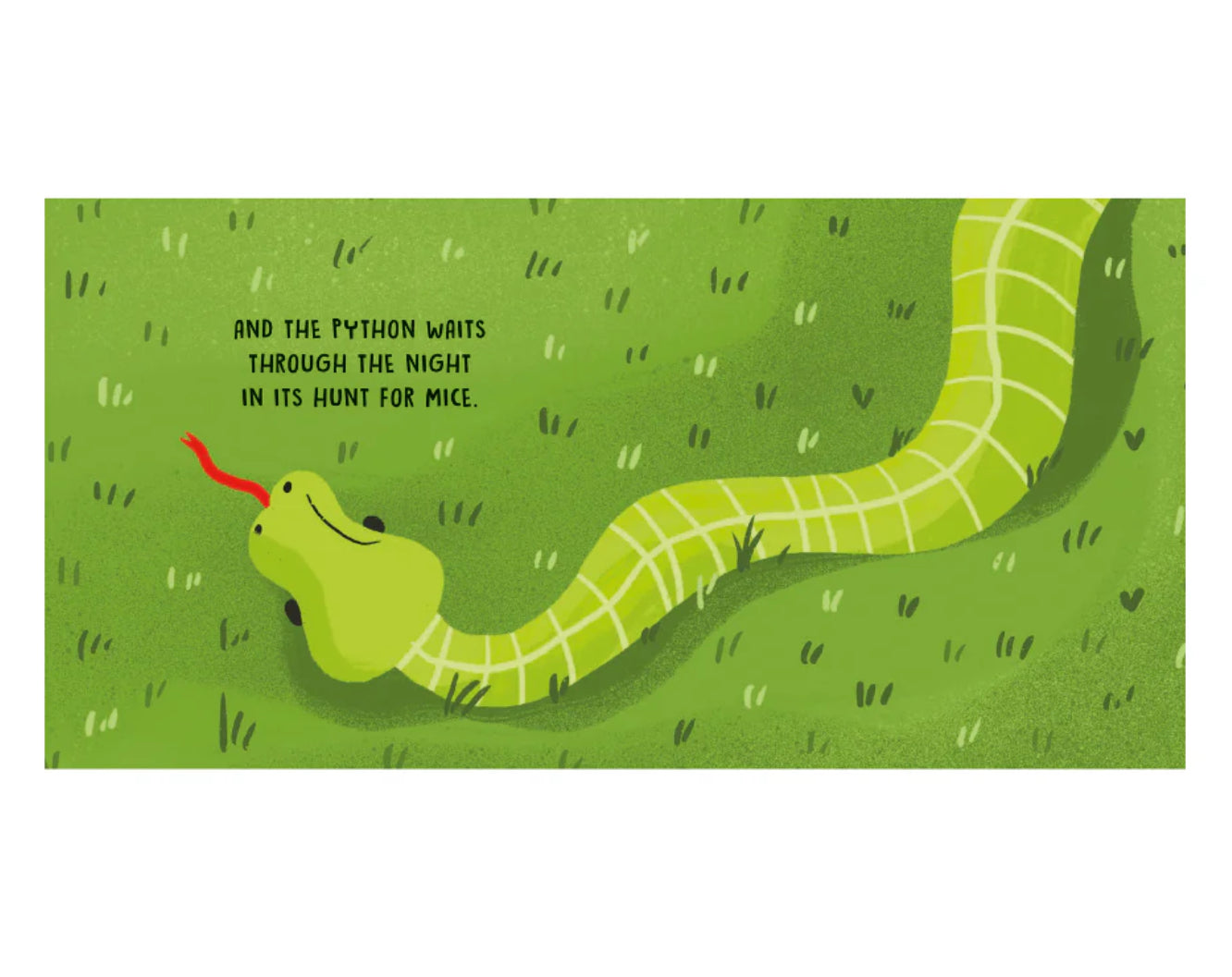 Sweet Sounds Stories - The Jungle - Board Book