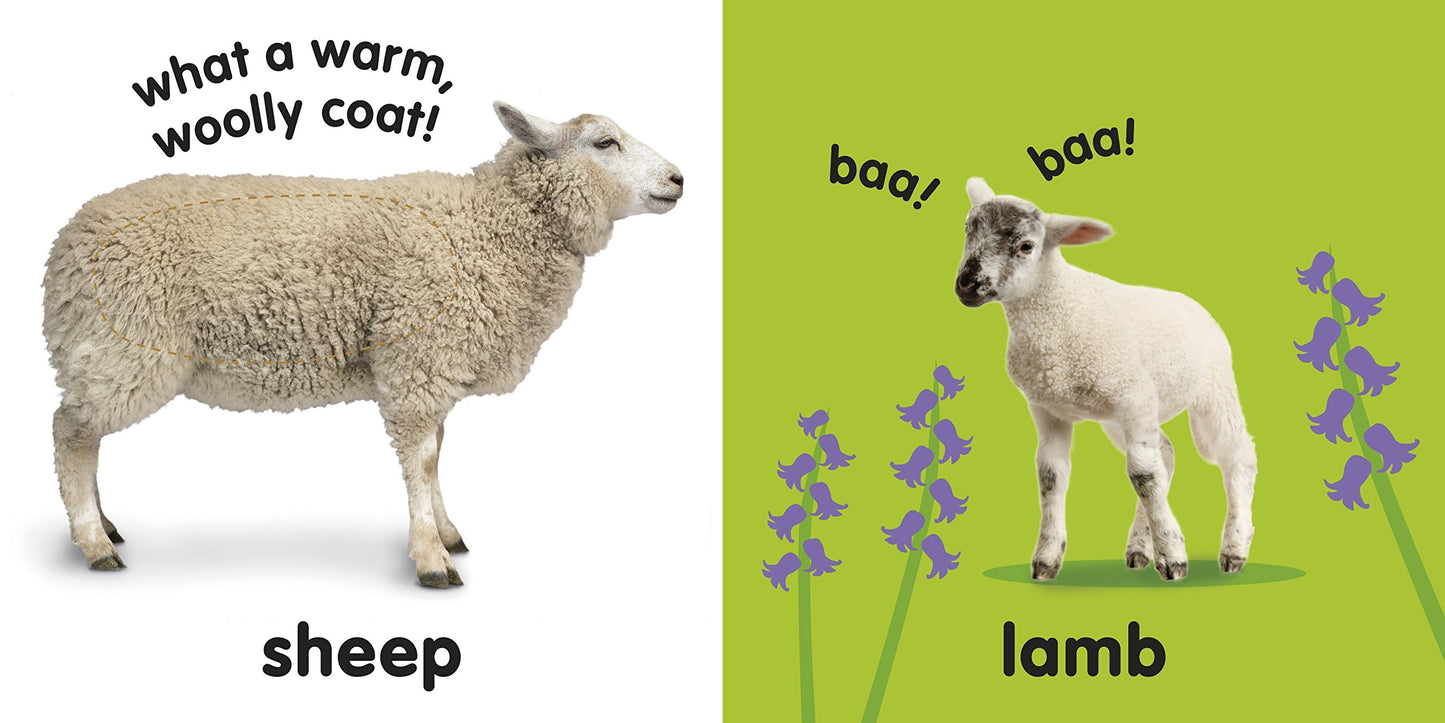Farm Animals: Baby Touch & Feel - Board Book