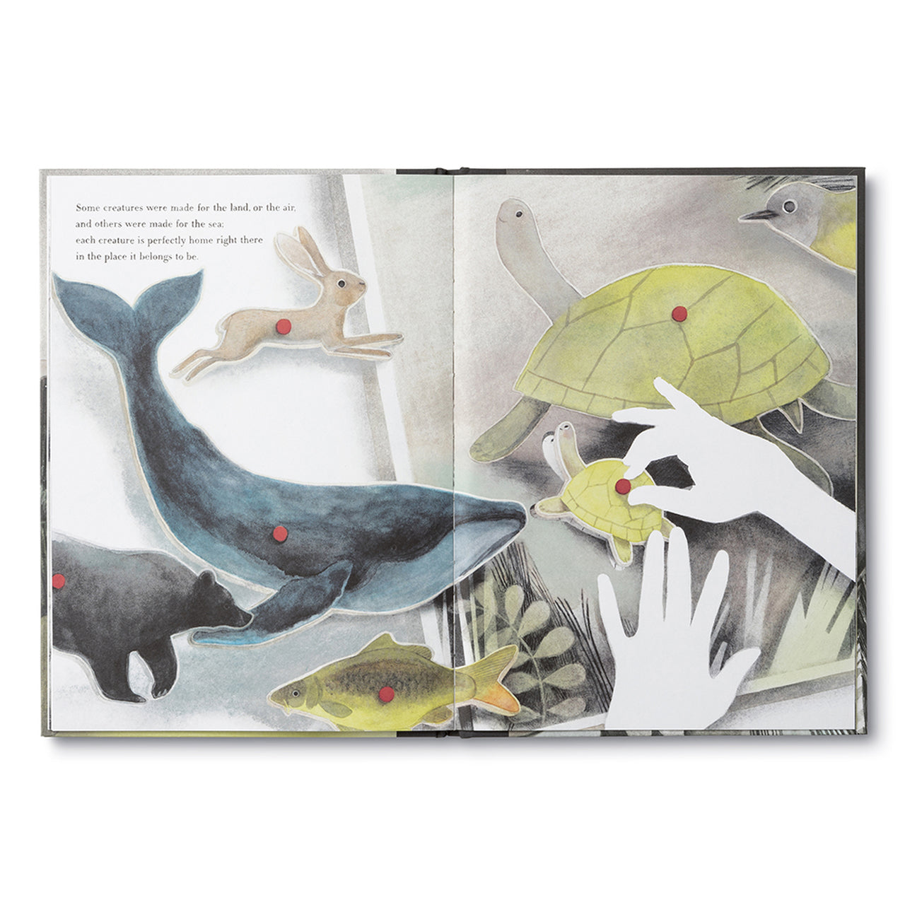 You Belong Here - Hardcover Book