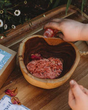 MINI Enchanted Garden kit