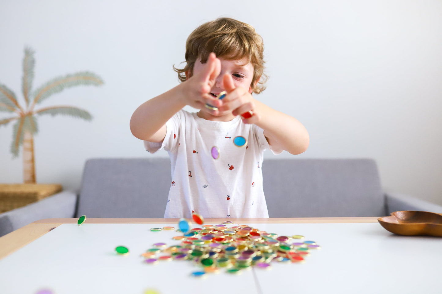 Metal Rimmed Counting Chips