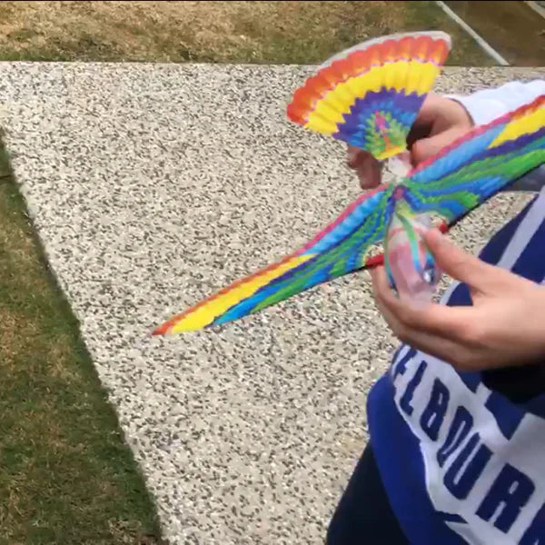 Tim - The Original Flying Bird