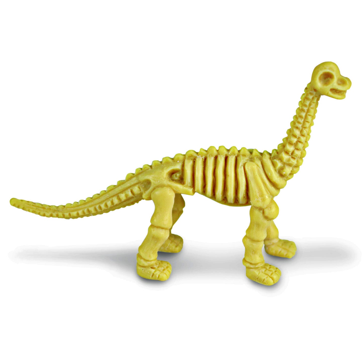 Dig It Up! Dinosaur Skeletons