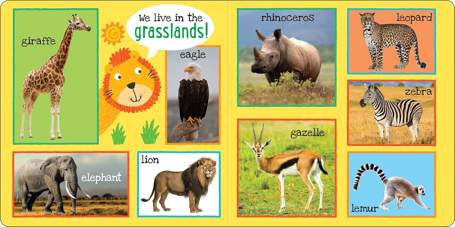 My First 101 Animals - Board Book