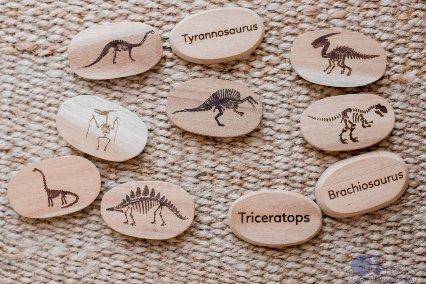 Dinosaur Stones - Set of 10