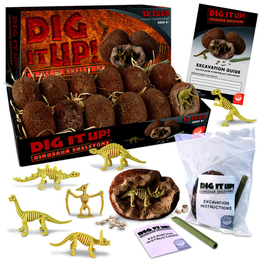 Dig It Up! Dinosaur Skeletons