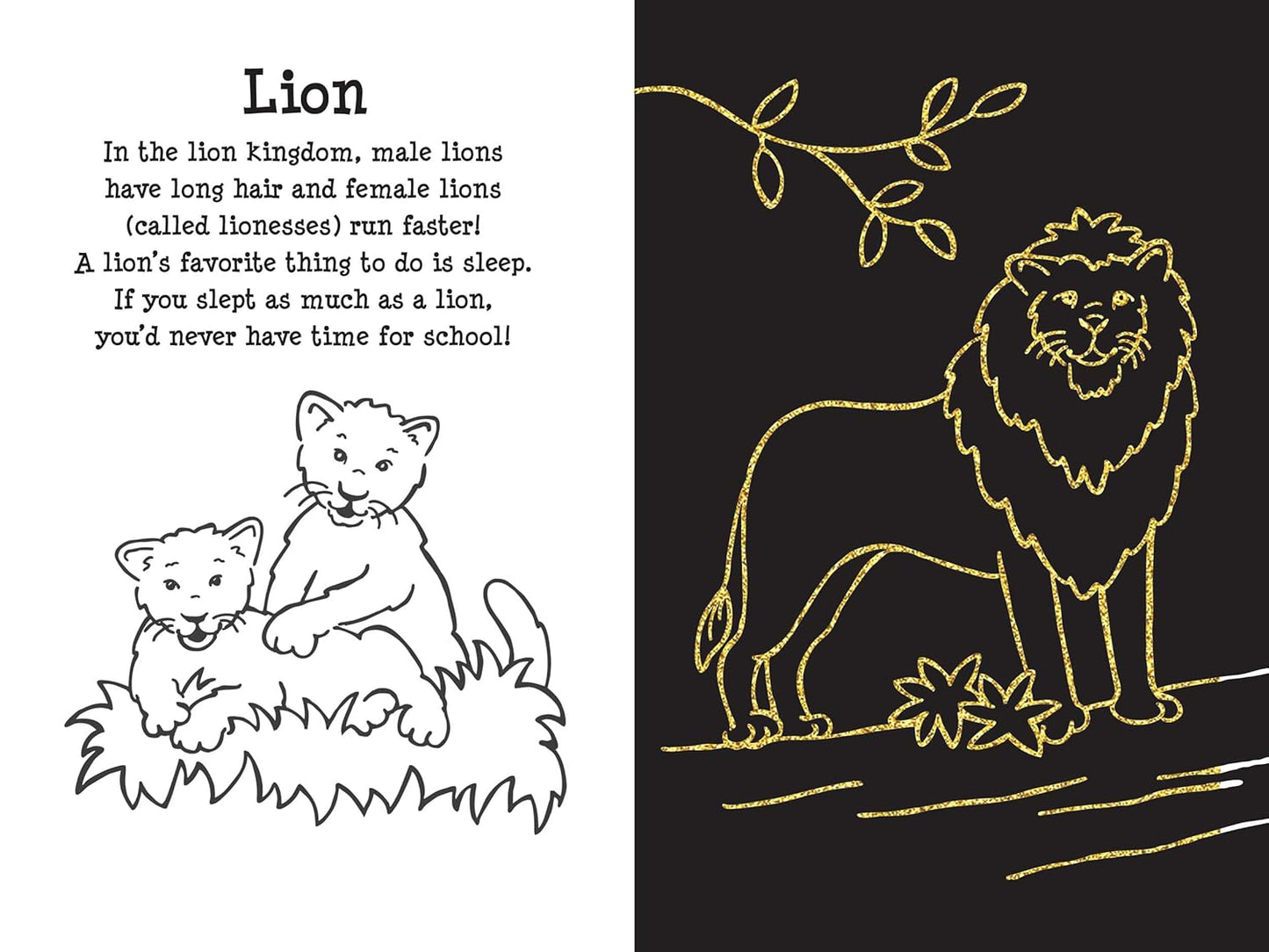 Scratch and Sketch At the Zoo - Art Activity Book