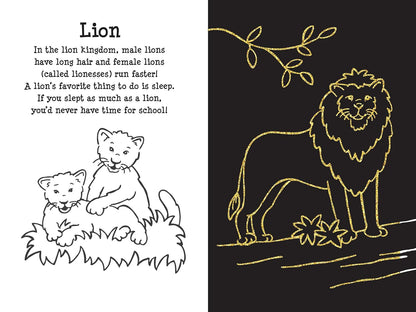 Scratch and Sketch At the Zoo - Art Activity Book