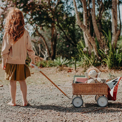 Rattan Wonder Wagon - Various Colours