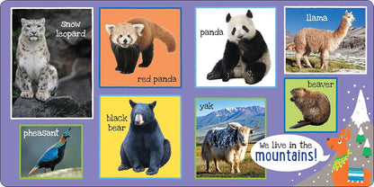 My First 101 Animals - Board Book