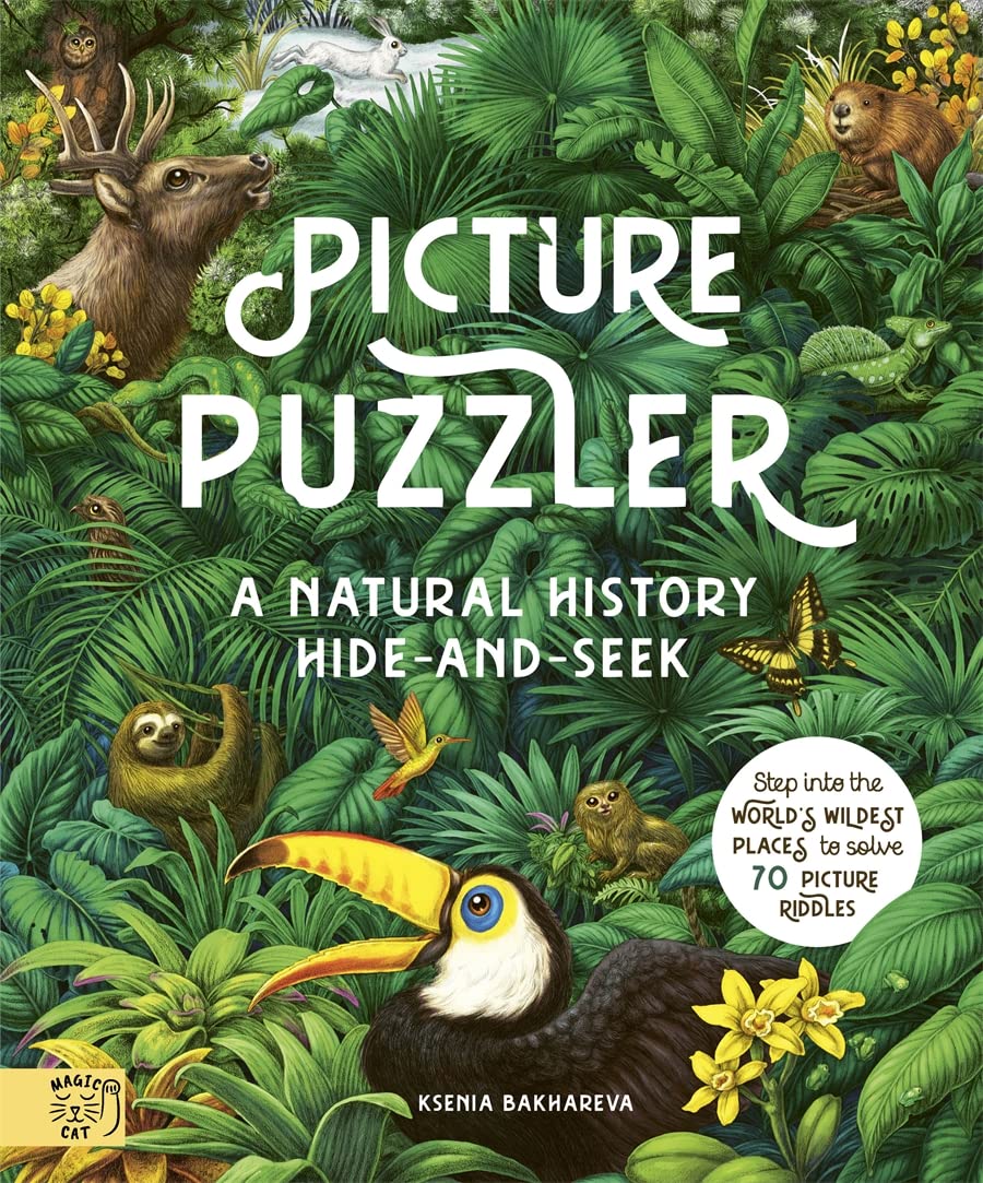 Picture Puzzler Book