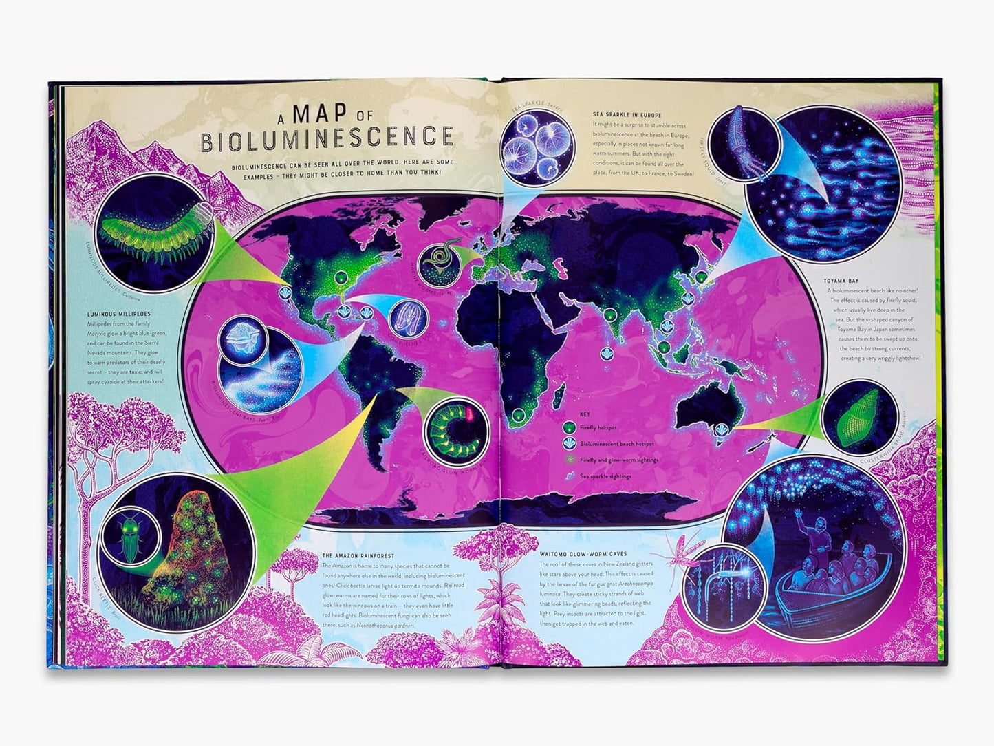 Glow - The Wild Wonders of BioLinescence