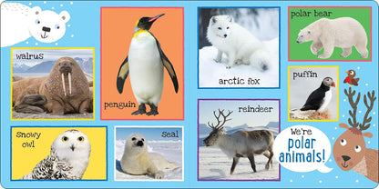 My First 101 Animals - Board Book