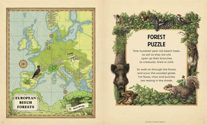 Picture Puzzler Book