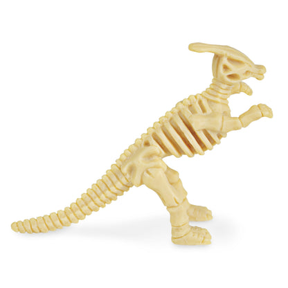 Dig It Up! Dinosaur Skeletons