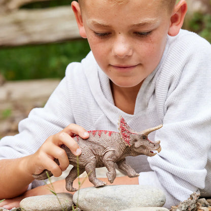 Schleich-Triceratops