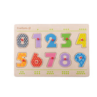 Number peg Puzzle